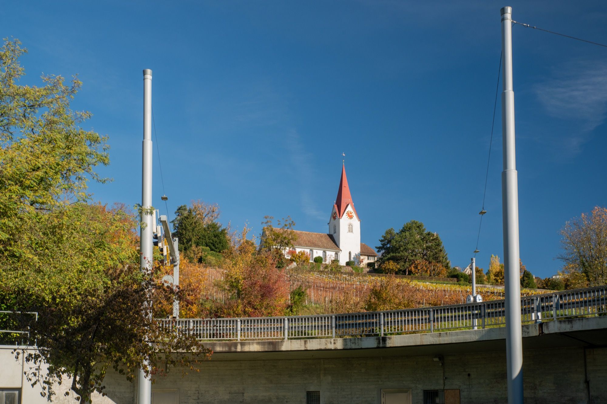 Die Alte Kirche Höngg über den Rebbergen, im Quartier des Turnierlokals.